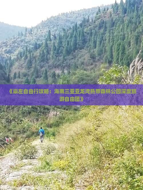 《崇左自由行攻略：海南三亚亚龙湾热带森林公园深度旅游自由团》