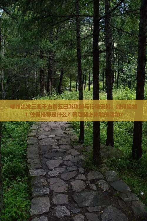 郴州出发三亚千古情五日游攻略与行程安排，如何规划？住宿推荐是什么？有哪些必体验的活动？