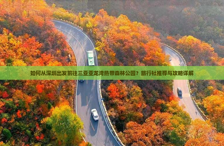 如何从深圳出发前往三亚亚龙湾热带森林公园？旅行社推荐与攻略详解