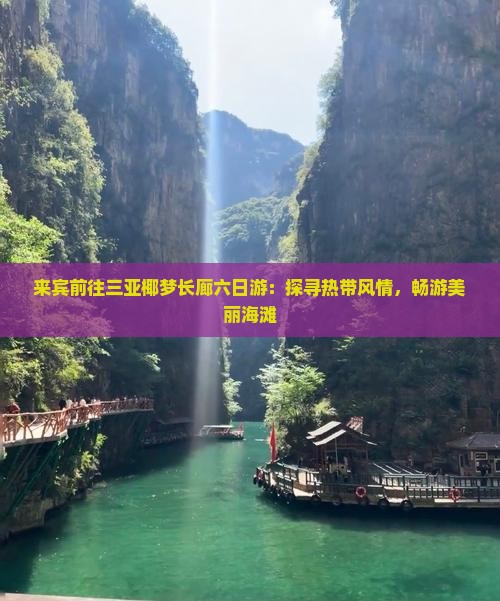 来宾前往三亚椰梦长廊六日游：探寻热带风情，畅游美丽海滩