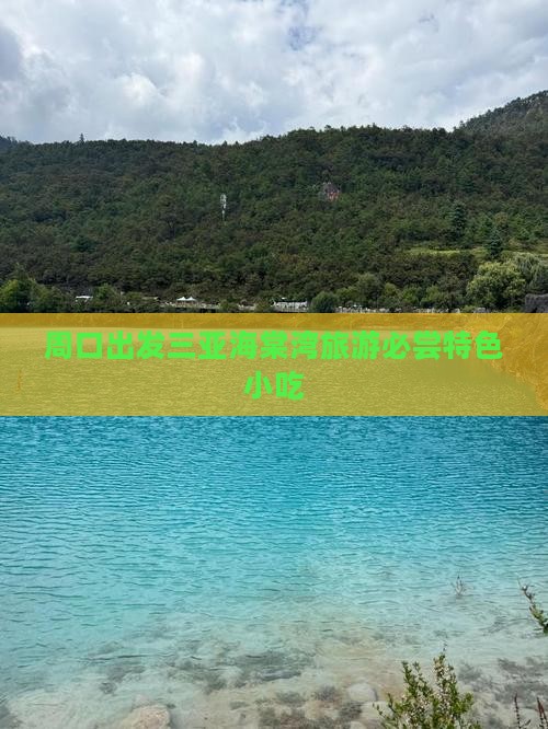 周口出发三亚海棠湾旅游必尝特色小吃