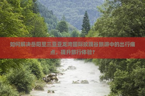 如何解决岳阳至三亚亚龙湾国际玫瑰谷旅游中的出行痛点，提升旅行体验？