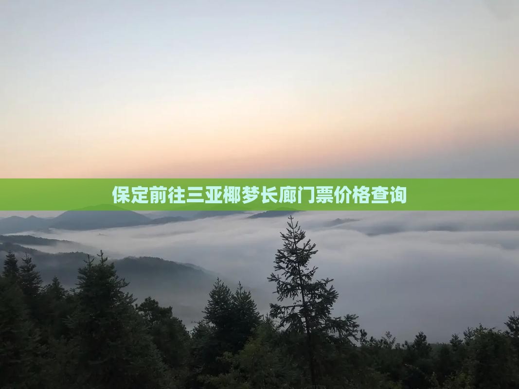 保定前往三亚椰梦长廊门票价格查询