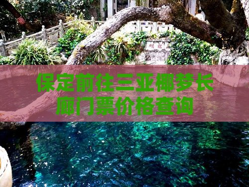 保定前往三亚椰梦长廊门票价格查询