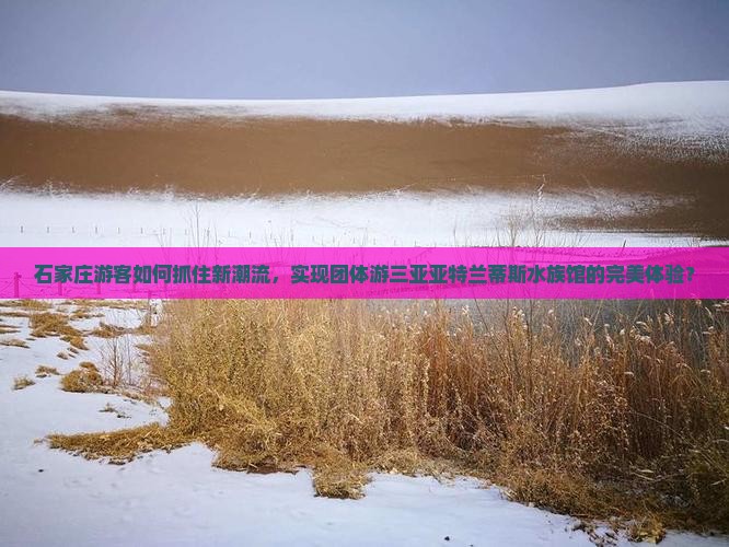 石家庄游客如何抓住新潮流，实现团体游三亚亚特兰蒂斯水族馆的完美体验？