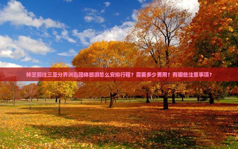 林芝前往三亚分界洲岛团体旅游怎么安排行程？需要多少费用？有哪些注意事项？