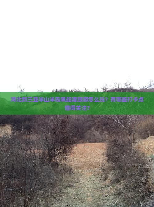 海北到三亚半山半岛帆船港旅游怎么玩？有哪些打卡点值得关注？