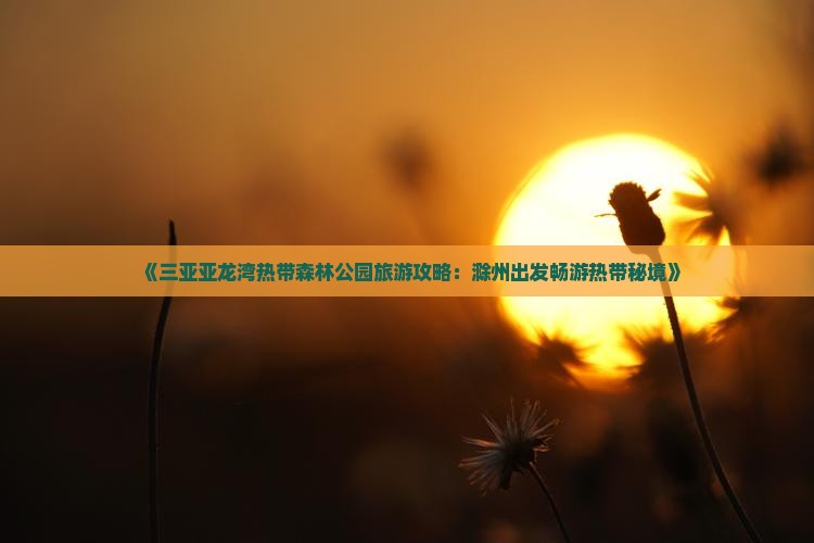 《三亚亚龙湾热带森林公园旅游攻略：滁州出发畅游热带秘境》