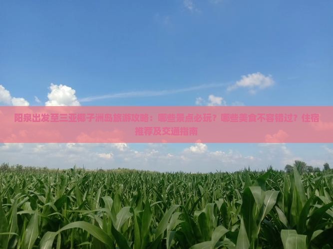 阳泉出发至三亚椰子洲岛旅游攻略：哪些景点必玩？哪些美食不容错过？住宿推荐及交通指南
