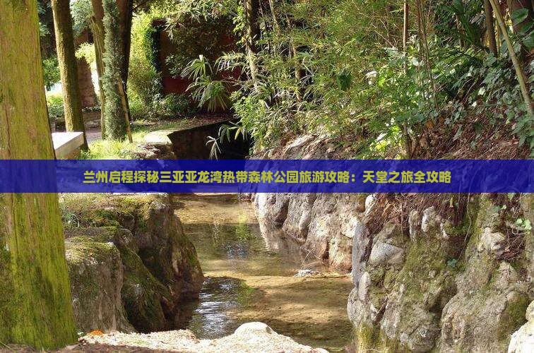 兰州启程探秘三亚亚龙湾热带森林公园旅游攻略:天堂之旅全攻略 兰州启程探秘三亚亚龙湾热带森林公园旅游攻略:天堂之旅全攻略