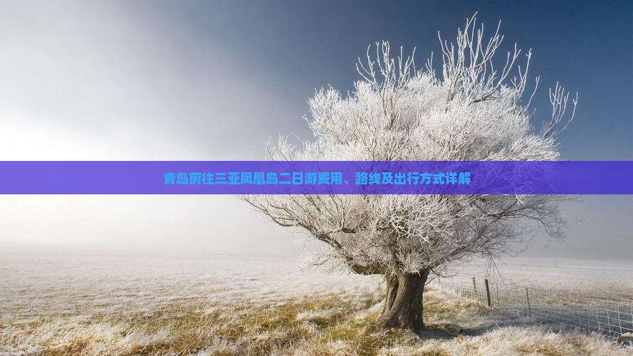 青岛前往三亚凤凰岛二日游费用、路线及出行方式详解