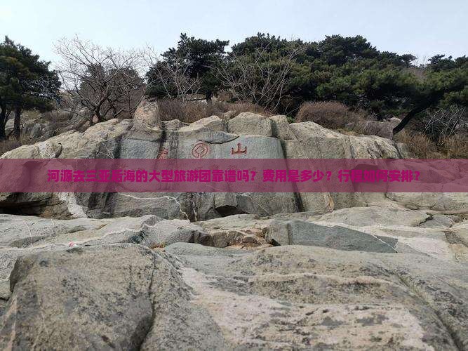 河源去三亚后海的大型旅游团靠谱吗？费用是多少？行程如何安排？