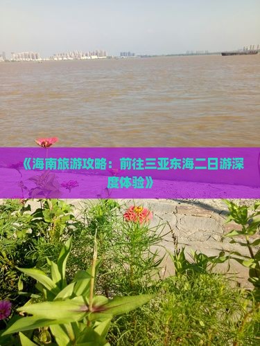 《海南旅游攻略：前往三亚东海二日游深度体验》