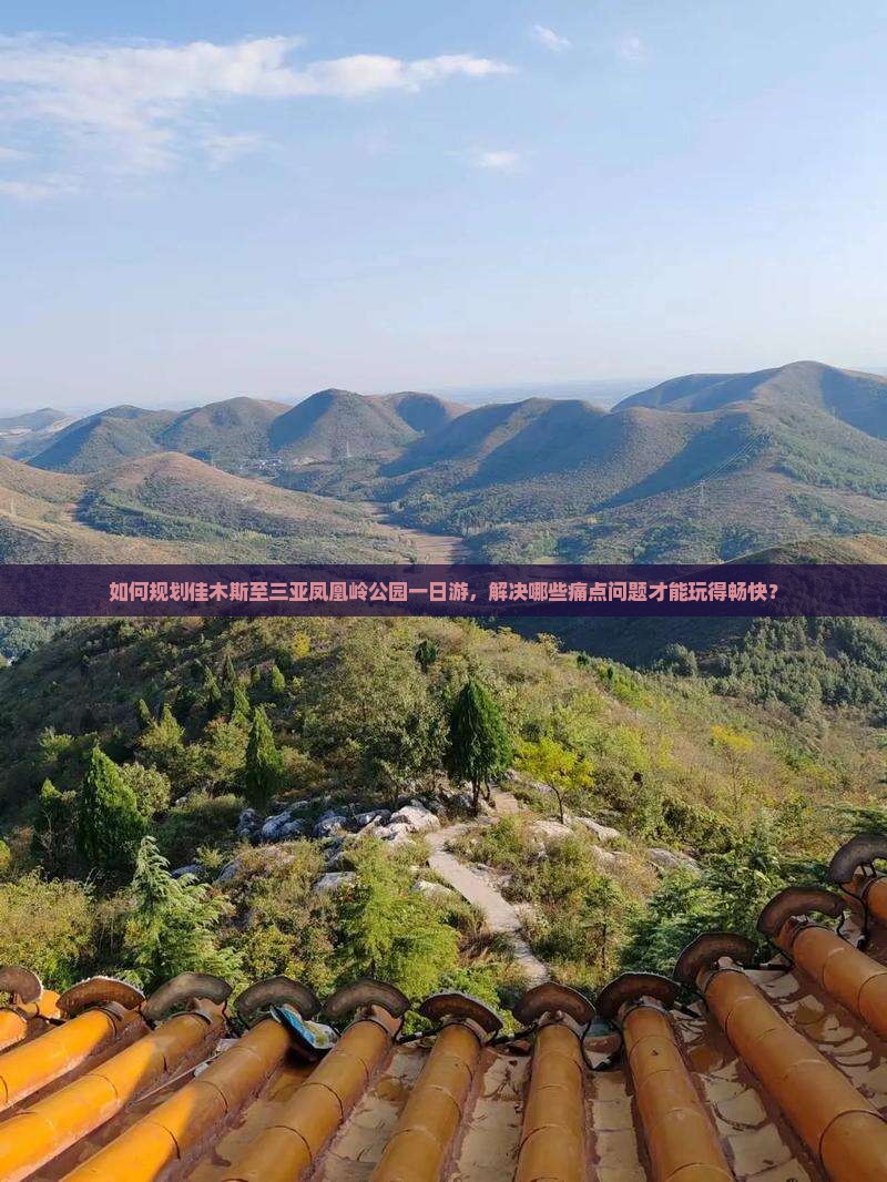如何规划佳木斯至三亚凤凰岭公园一日游，解决哪些痛点问题才能玩得畅快？