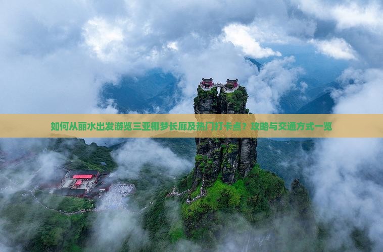 如何从丽水出发游览三亚椰梦长廊及热门打卡点？攻略与交通方式一览