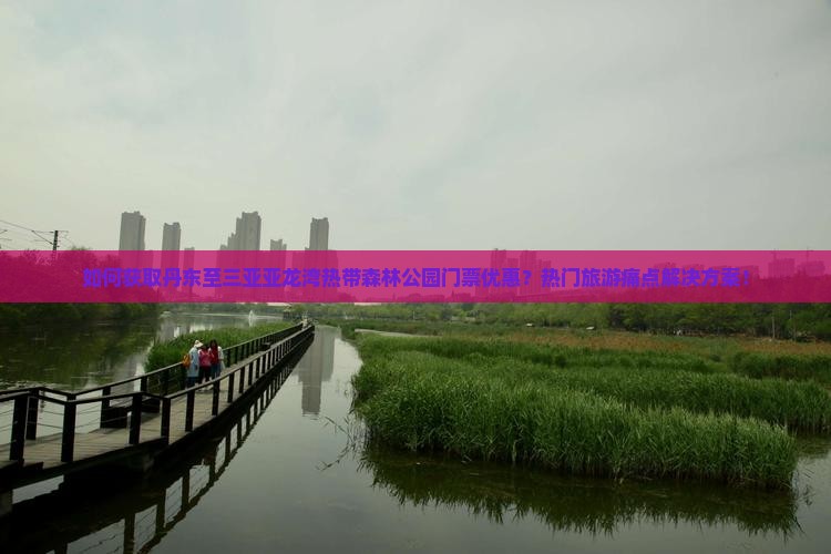 如何获取丹东至三亚亚龙湾热带森林公园门票优惠？热门旅游痛点解决方案！
