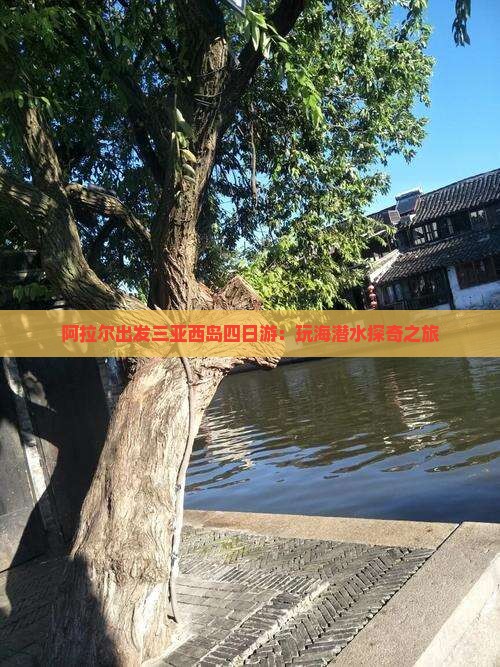 阿拉尔出发三亚西岛四日游：玩海潜水探奇之旅