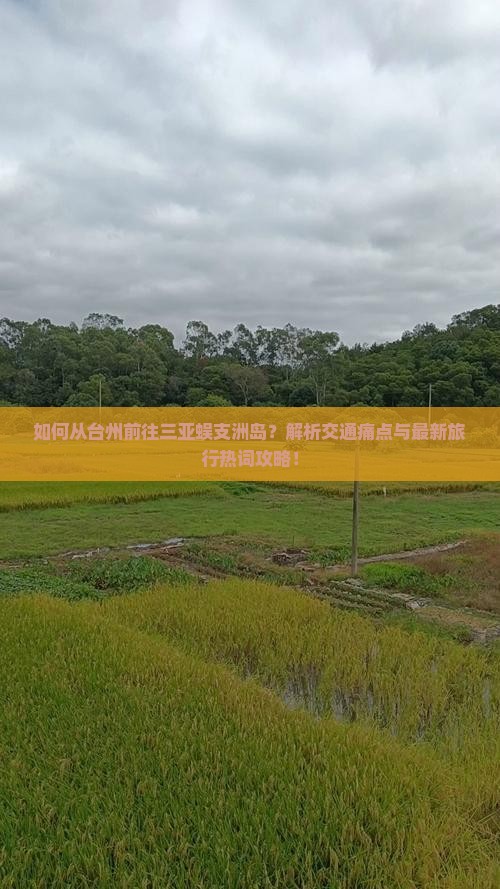 如何从台州前往三亚蜈支洲岛？解析交通痛点与最新旅行热词攻略！