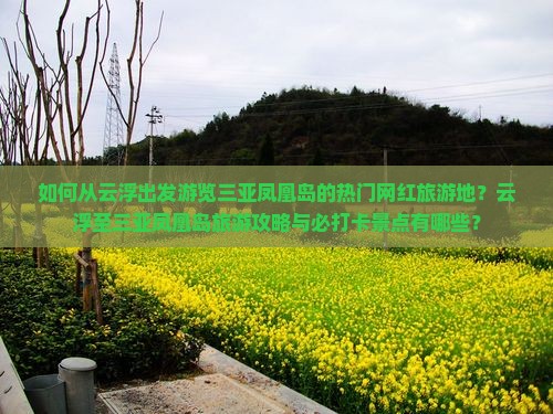 如何从云浮出发游览三亚凤凰岛的热门网红旅游地？云浮至三亚凤凰岛旅游攻略与必打卡景点有哪些？