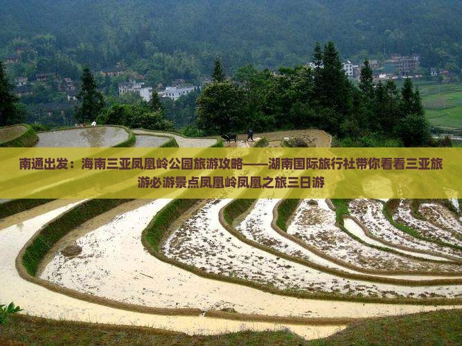 南通出发：海南三亚凤凰岭公园旅游攻略——湖南国际旅行社带你看看三亚旅游必游景点凤凰岭凤凰之旅三日游