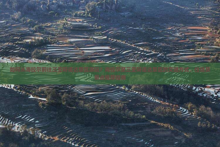 如何从海拉尔前往三亚呀诺达景区游玩？海拉尔至三亚呀诺达景区的交通方式、住宿及景点推荐指南