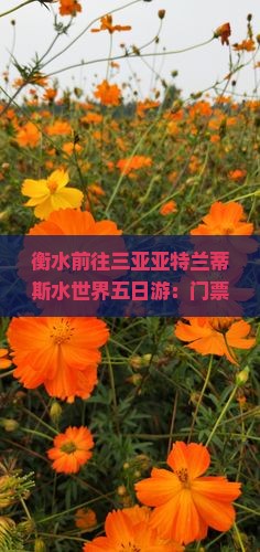 衡水前往三亚亚特兰蒂斯水世界五日游：门票价格、优惠、开放时间及自费项目