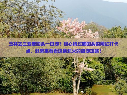 玉林去三亚鹿回头一日游？担心错过鹿回头的网红打卡点，赶紧来看看这条超火的旅游攻略！