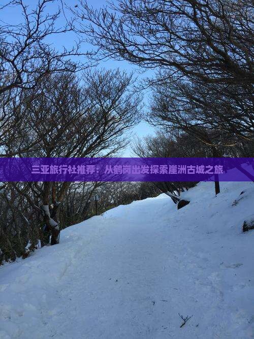 三亚旅行社推荐：从鹤岗出发探索崖洲古城之旅