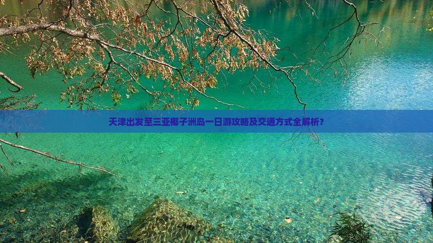 天津出发至三亚椰子洲岛一日游攻略及交通方式全解析？