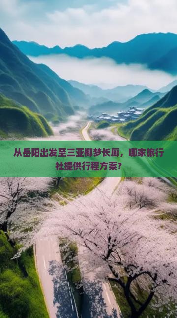 从岳阳出发至三亚椰梦长廊，哪家旅行社提供行程方案？