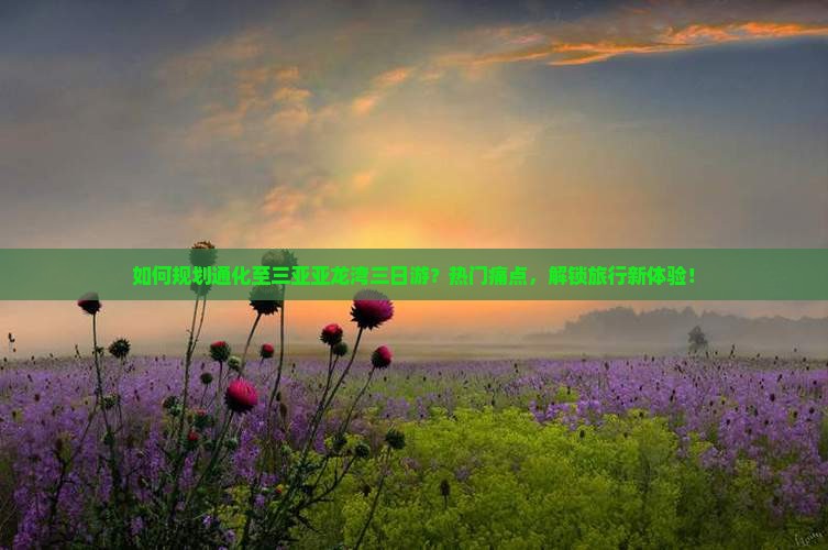如何规划通化至三亚亚龙湾三日游？热门痛点，解锁旅行新体验！