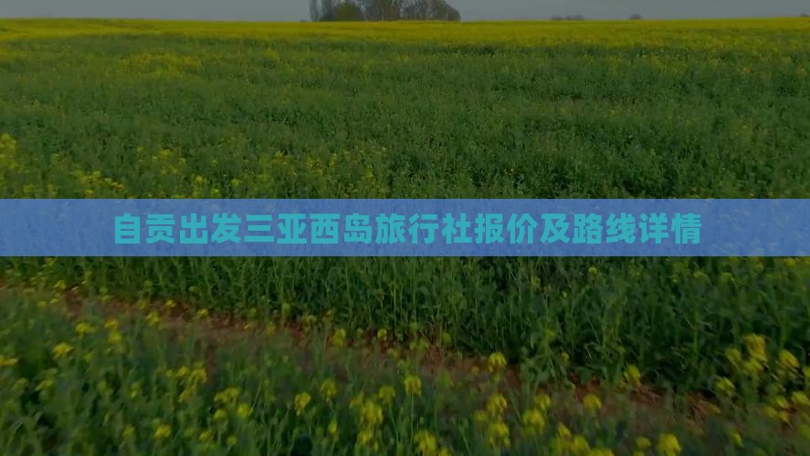自贡出发三亚西岛旅行社报价及路线详情