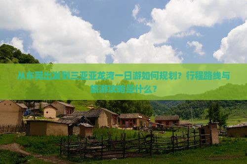 从东莞出发到三亚亚龙湾一日游如何规划？行程路线与旅游攻略是什么？