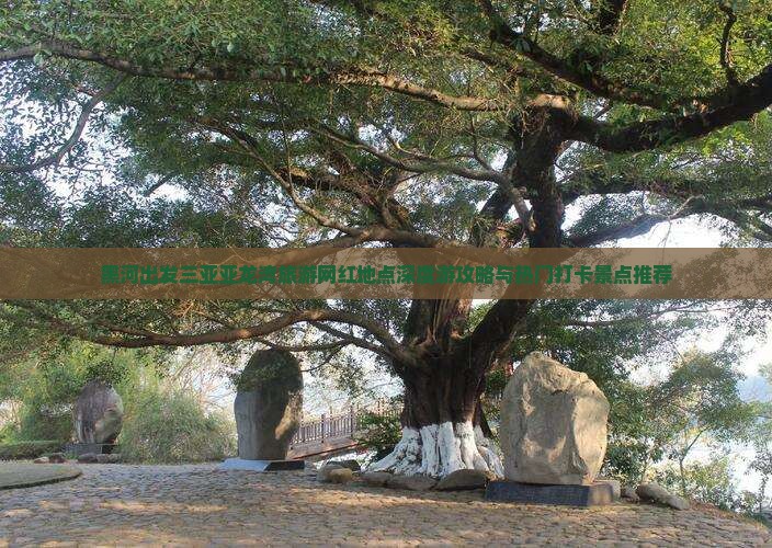 黑河出发三亚亚龙湾旅游网红地点深度游攻略与热门打卡景点推荐