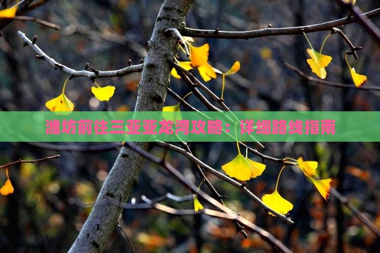 潍坊前往三亚亚龙湾攻略：详细路线指南