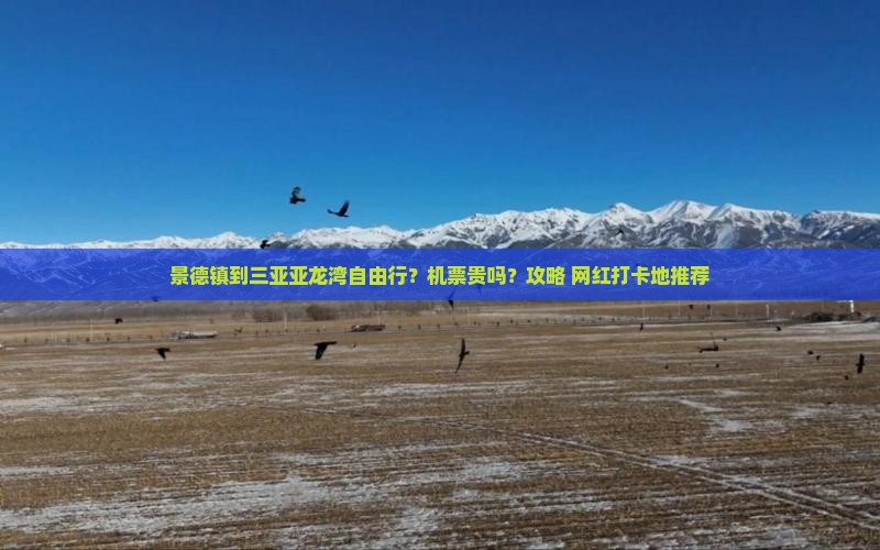 景德镇到三亚亚龙湾自由行？机票贵吗？攻略+网红打卡地推荐