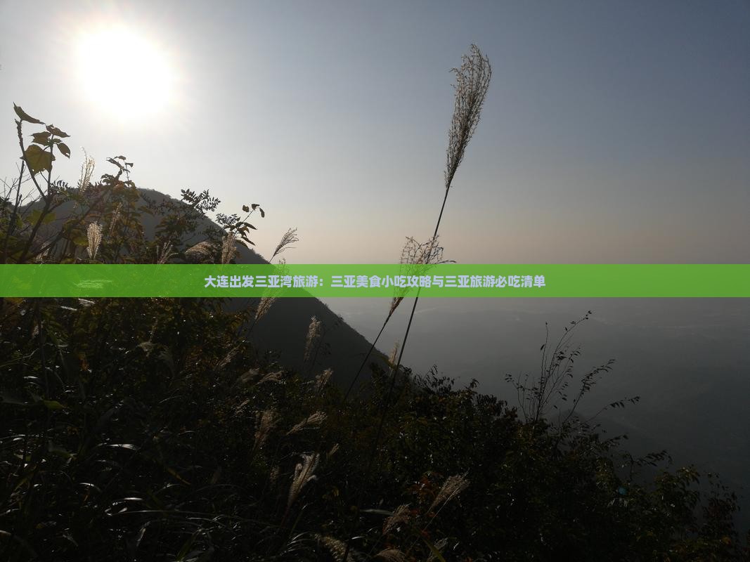 大连出发三亚湾旅游：三亚美食小吃攻略与三亚旅游必吃清单