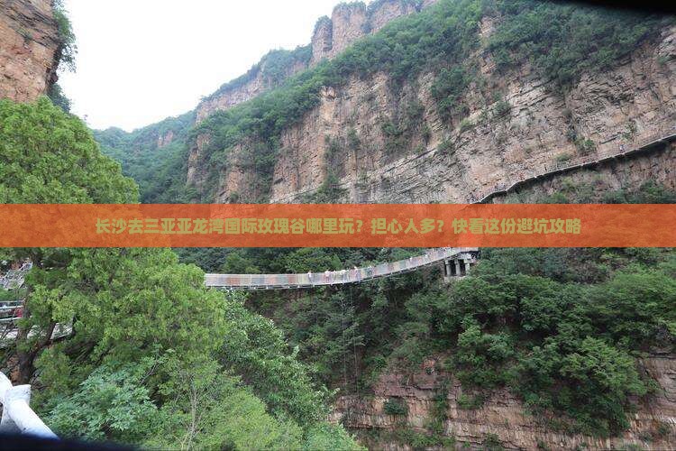 长沙去三亚亚龙湾国际玫瑰谷哪里玩？担心人多？快看这份避坑攻略