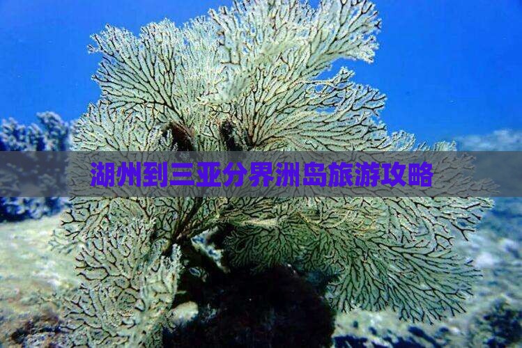 湖州到三亚分界洲岛旅游攻略