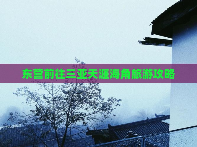 东营前往三亚天涯海角旅游攻略