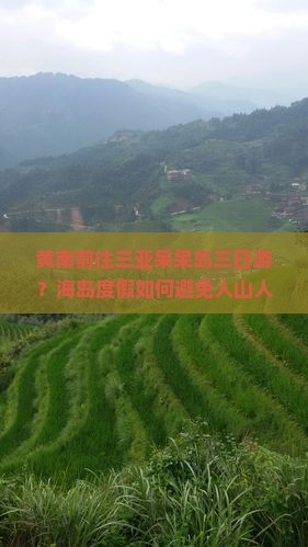 黄南前往三亚呆呆岛三日游?海岛度假如何避免人山人海?露营+冲浪新体验 黄南前往三亚呆呆岛三日游?海岛度假如何避免人山人海?露营+冲浪新体验