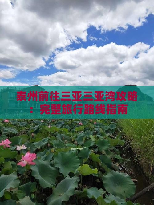 泰州前往三亚三亚湾攻略：完整旅行路线指南