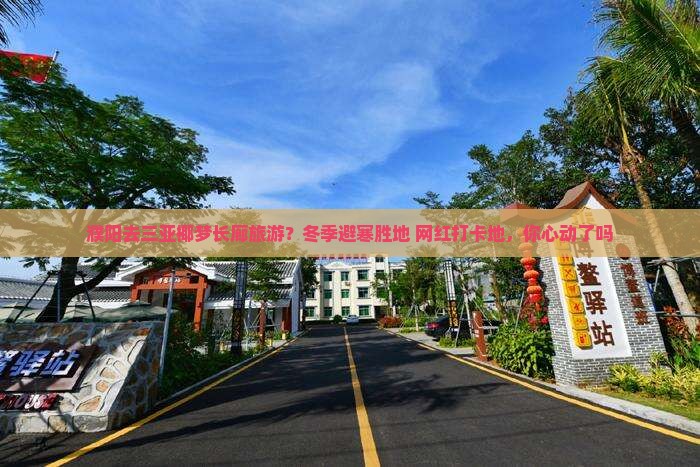 濮阳去三亚椰梦长廊旅游？冬季避寒胜地+网红打卡地，你心动了吗