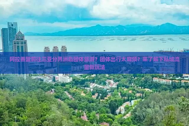 阿拉善盟前往三亚分界洲岛团体旅游？团体出行太麻烦？来了解下私域流量新玩法