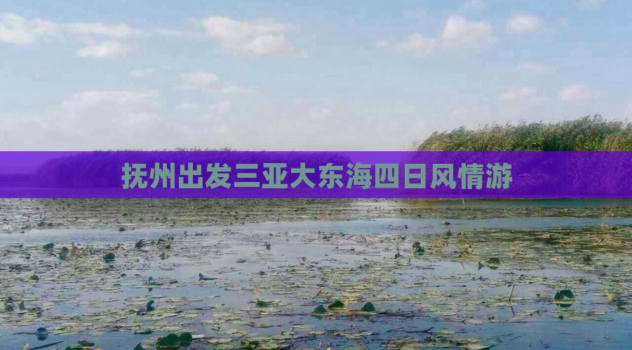 抚州出发三亚大东海四日风情游