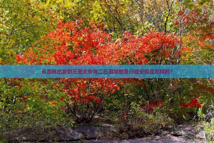 从吉林出发到三亚大东海二日游攻略及行程安排是怎样的？