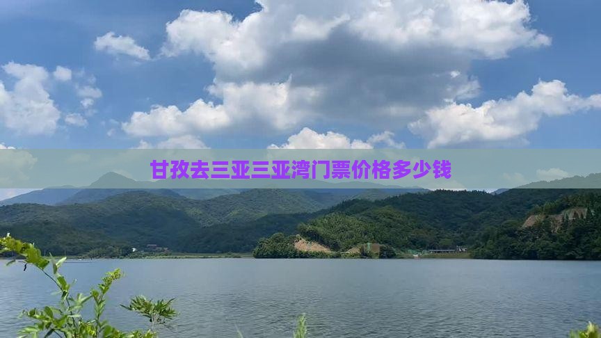 甘孜去三亚三亚湾门票价格多少钱
