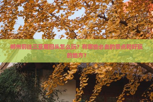 郴州前往三亚鹿回头怎么玩？有哪些必去的景点和好玩的地方？