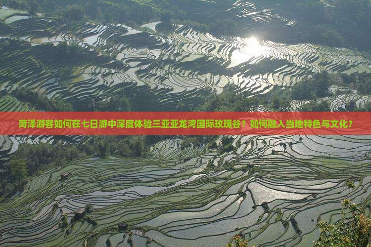菏泽游客如何在七日游中深度体验三亚亚龙湾国际玫瑰谷？如何融入当地特色与文化？