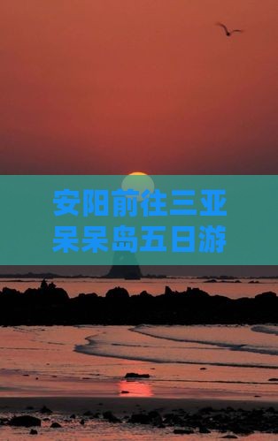 安阳前往三亚呆呆岛五日游路线怎么走